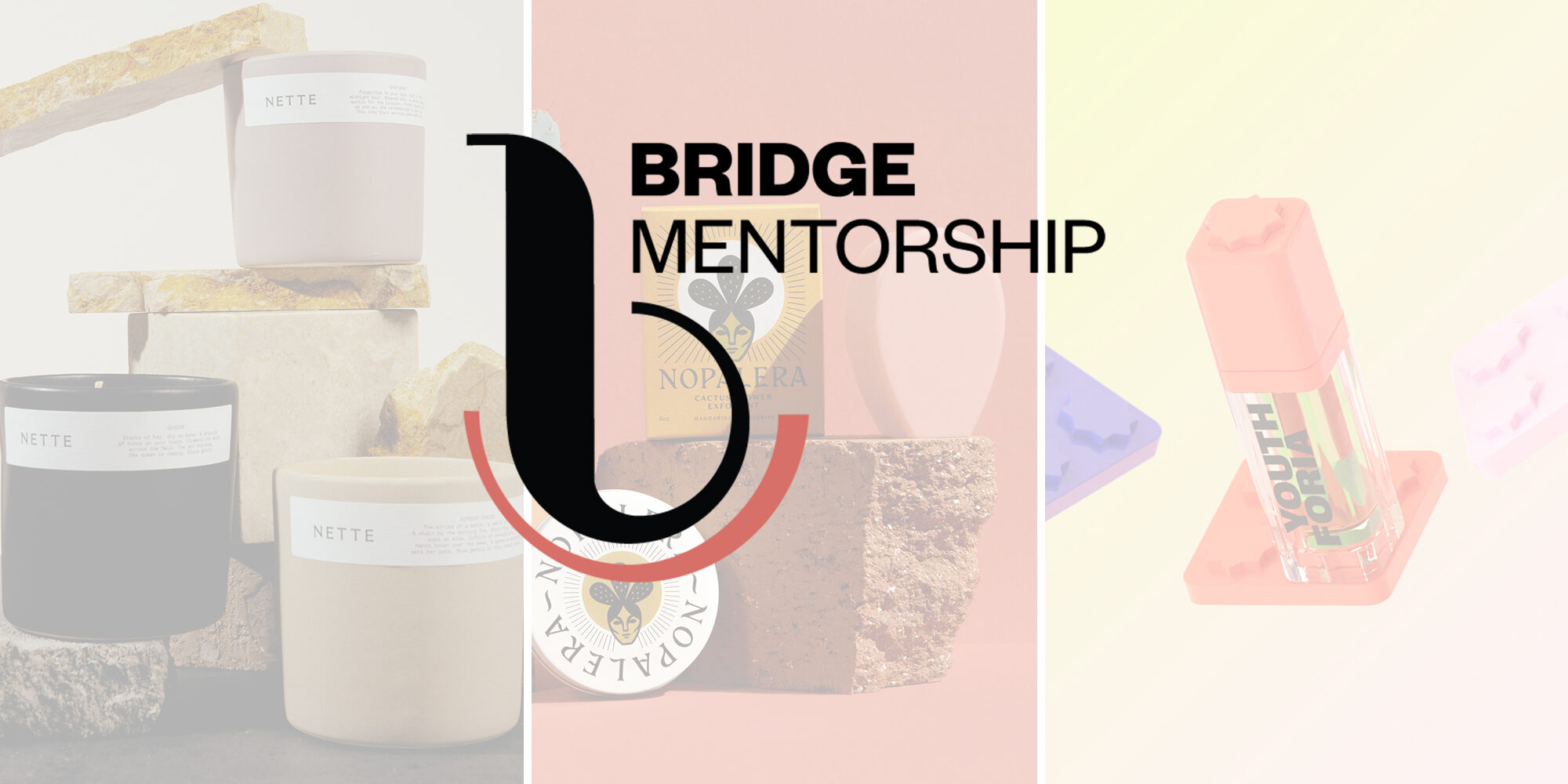 Bridge Mentorship Participants Share Knowledge They Gained From The Program; Applications Open For Second Round