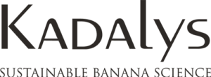Kadalys